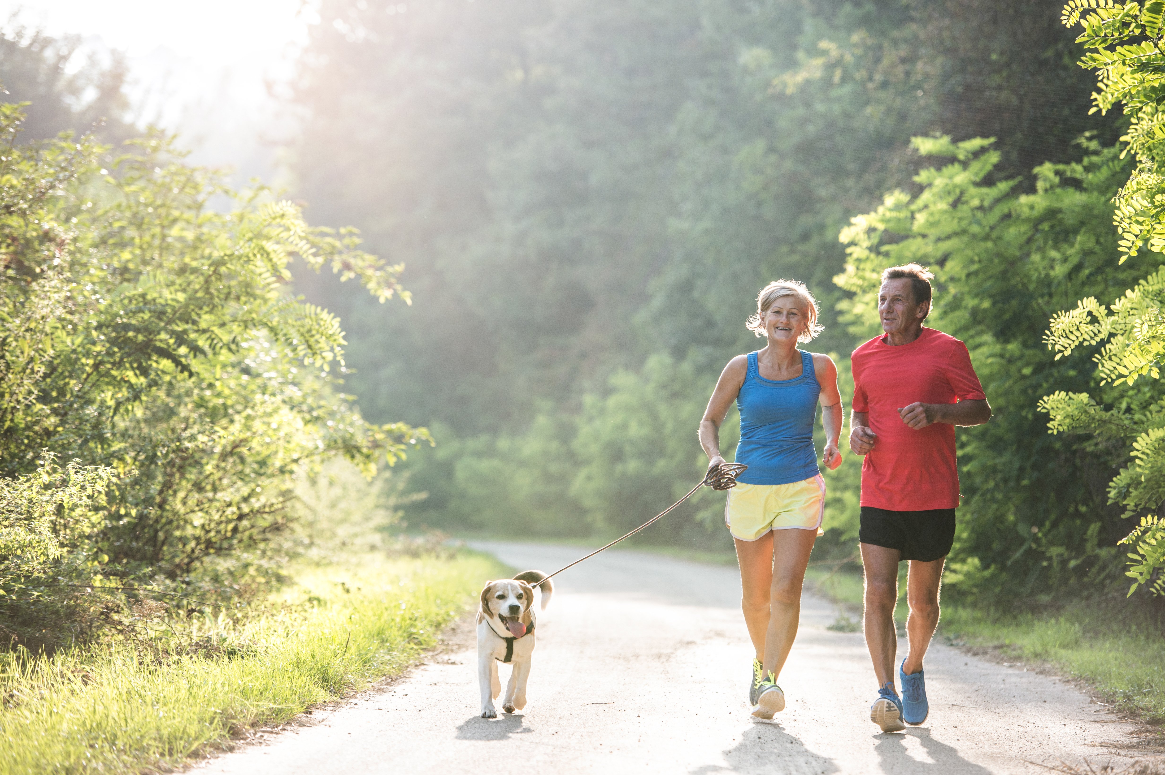 img-couple-walking-dog-outside