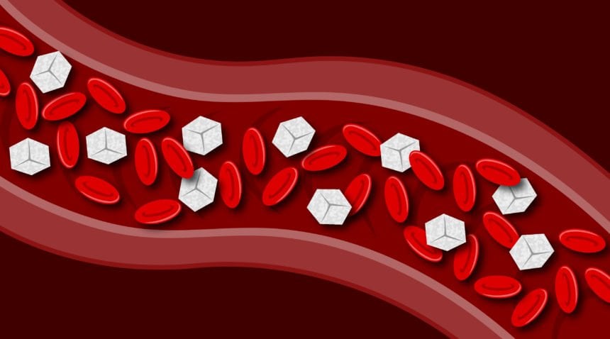 Blood vessel drawing