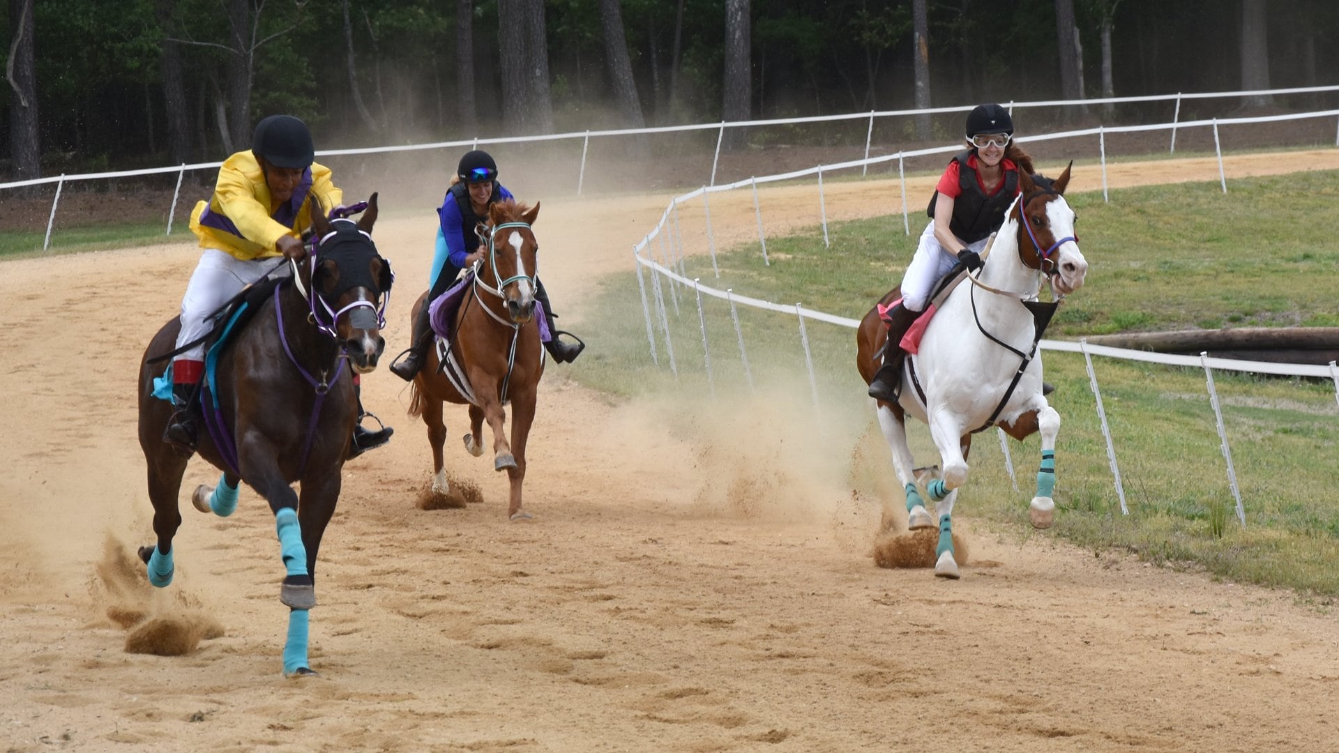 Derby Day race horses