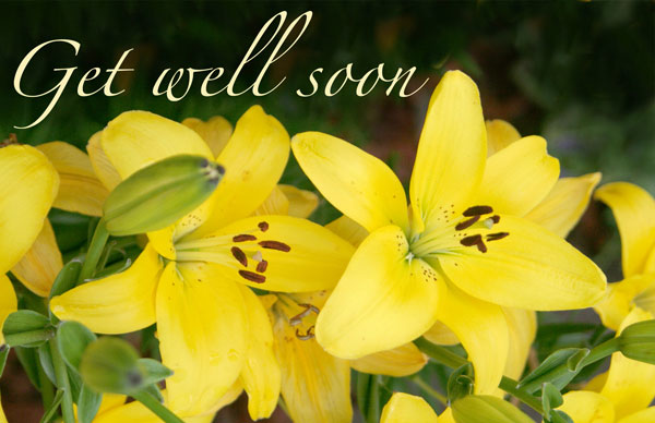 Get Well (Flower)